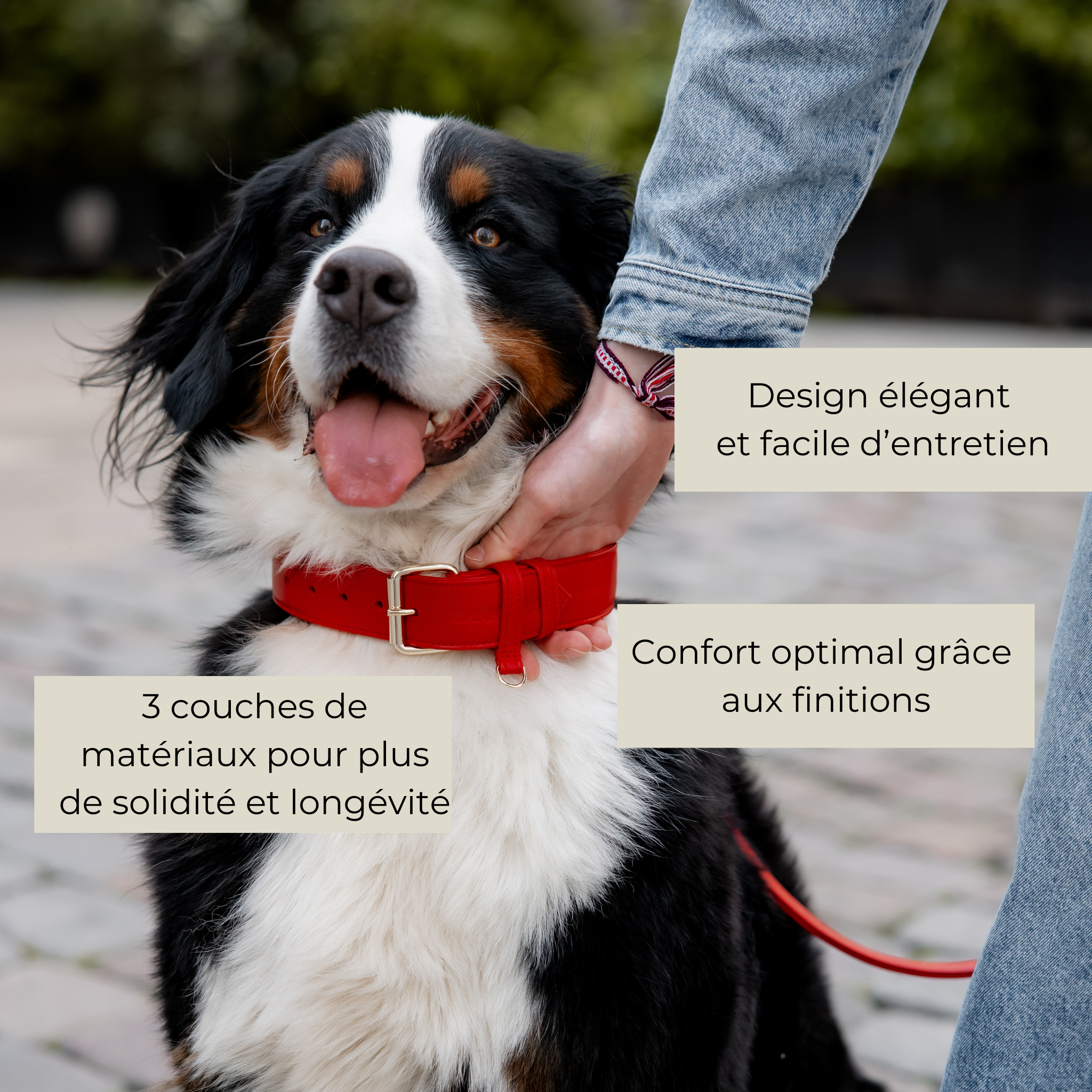 Collier en cuir végétal