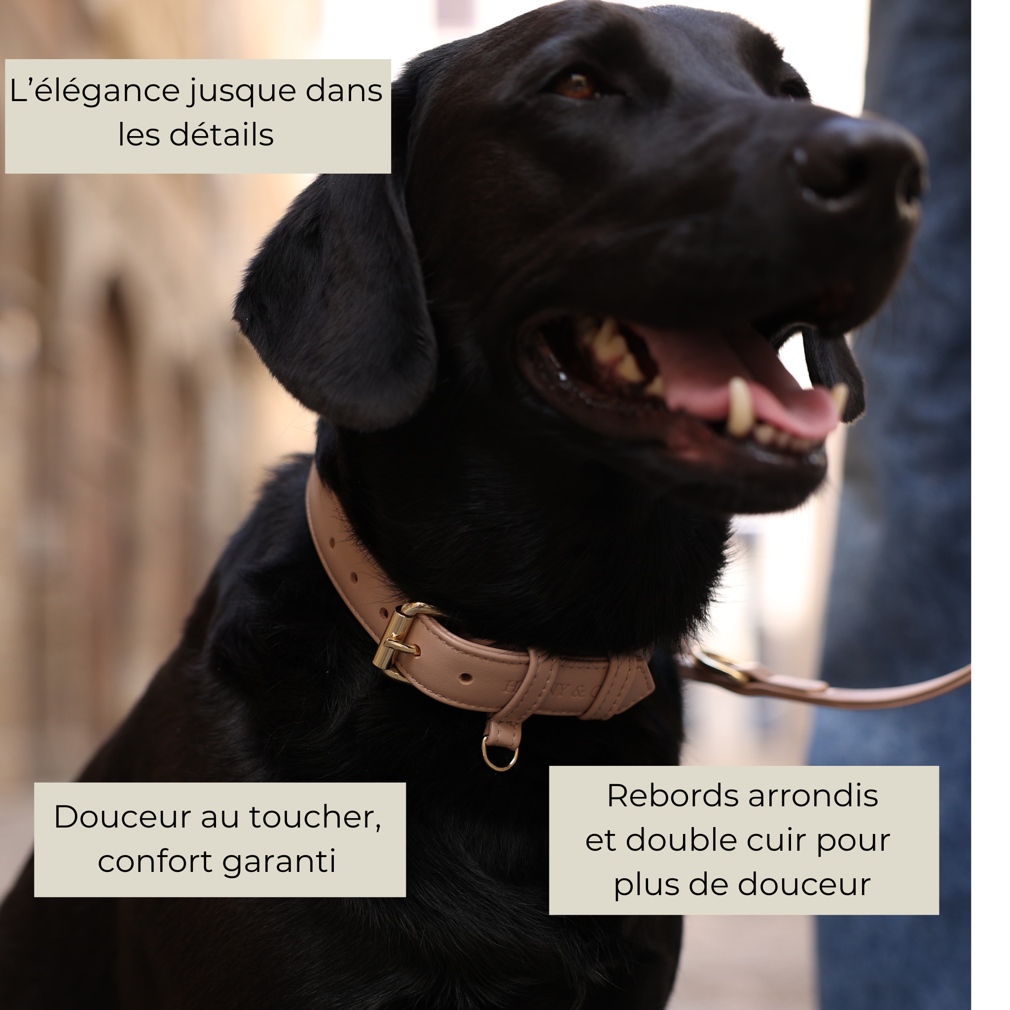 Collier en cuir végétal