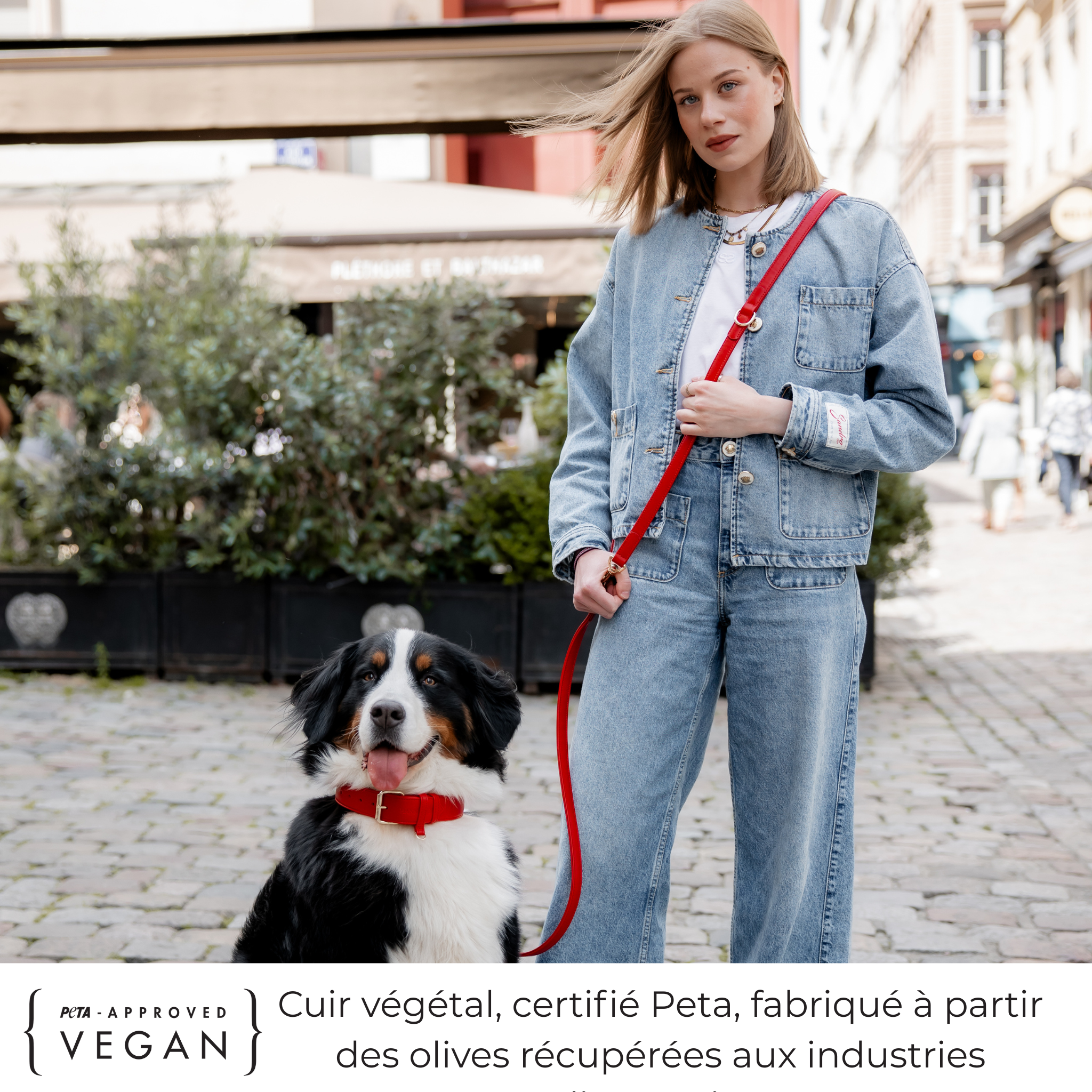 Laisse Multiposition en cuir végétal