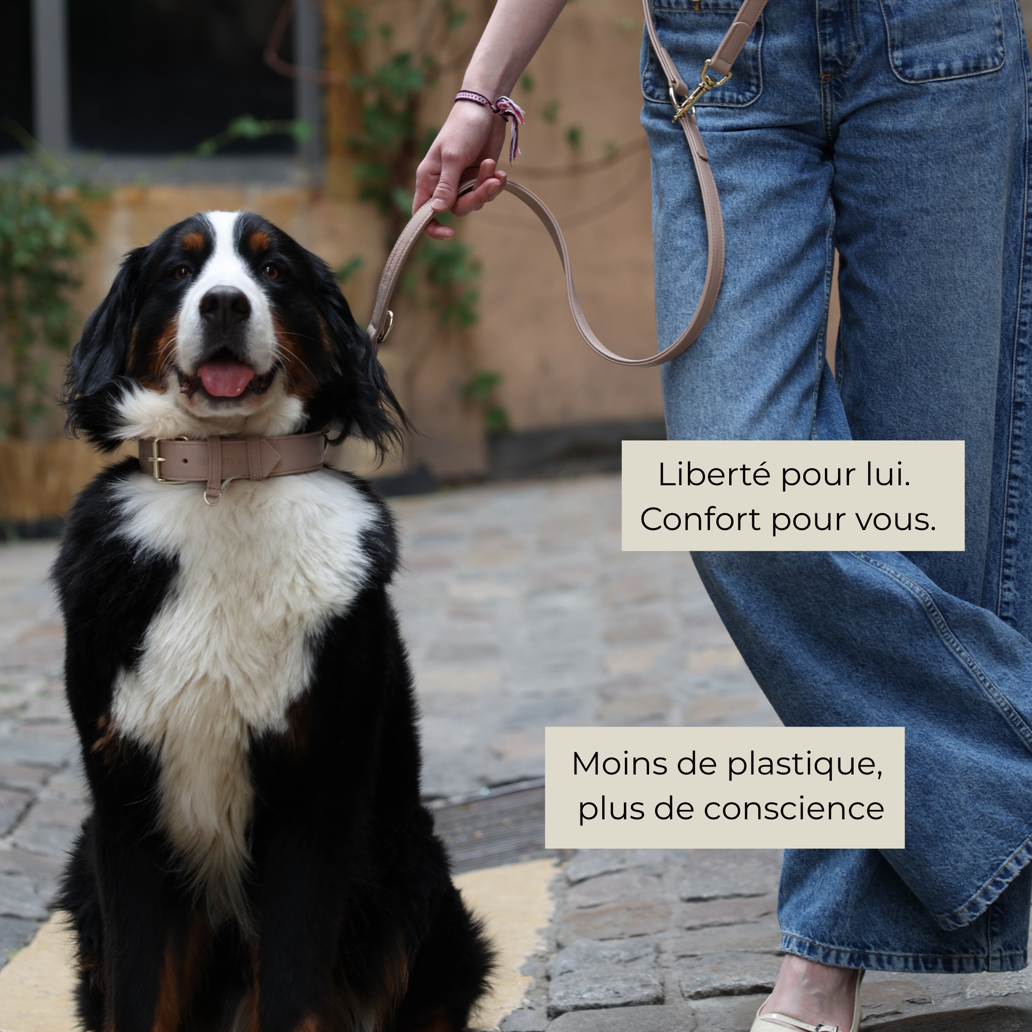 Laisse Multiposition en cuir végétal