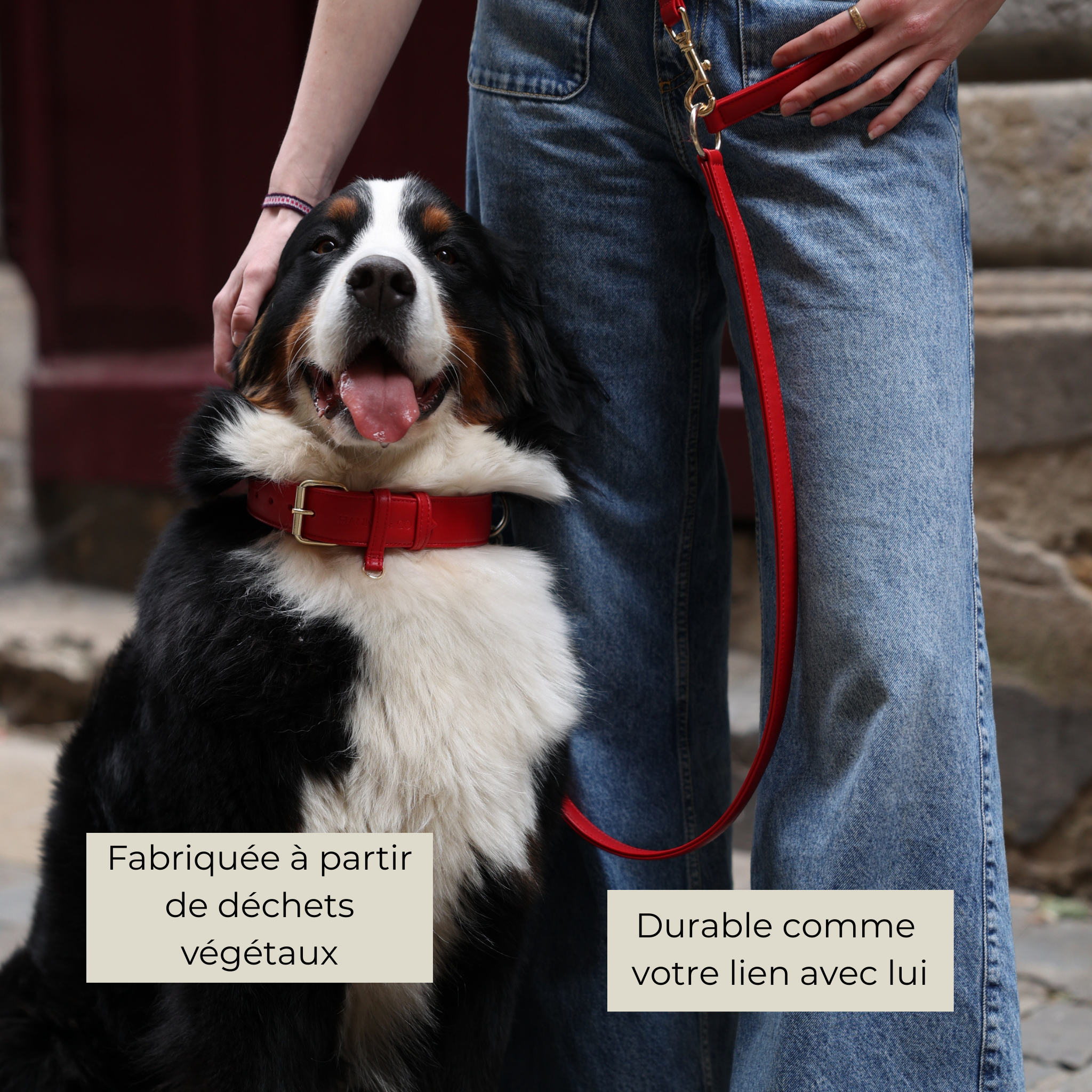 Laisse Multiposition en cuir végétal