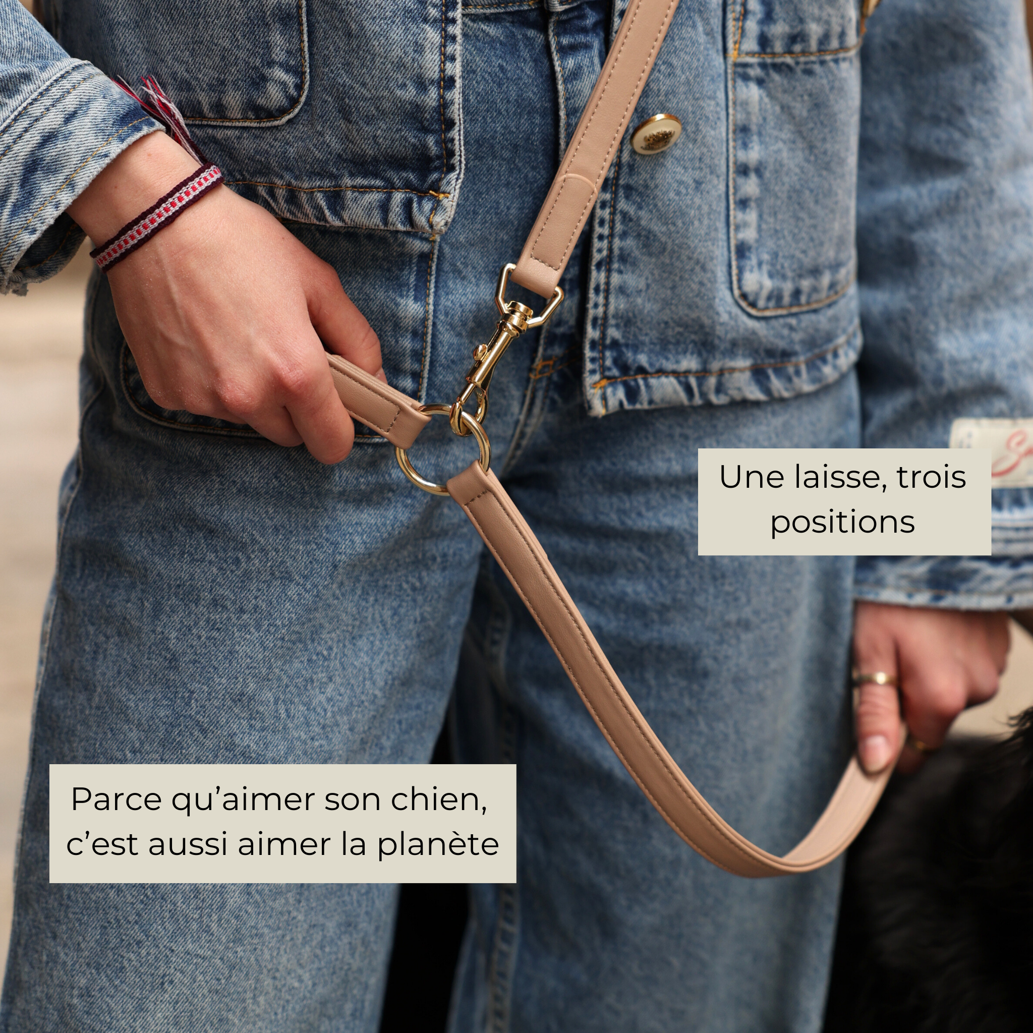 Laisse Multiposition en cuir végétal