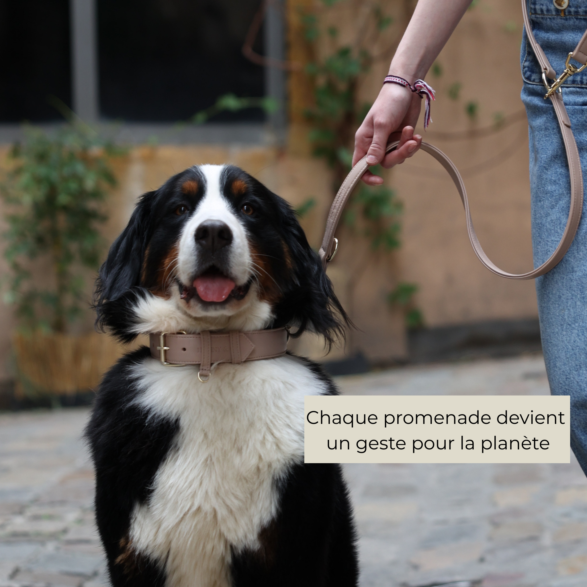 Laisse Multiposition en cuir végétal