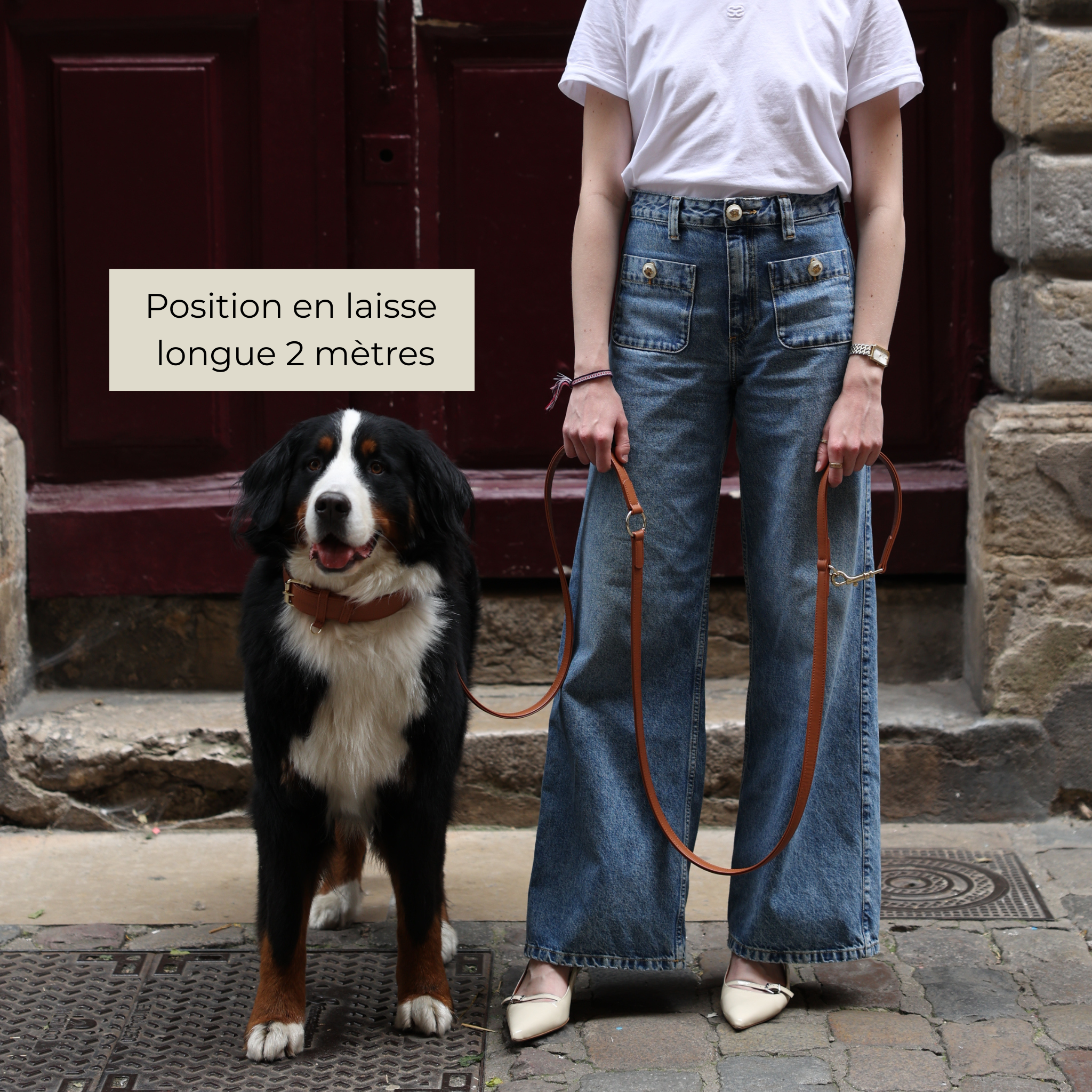 Laisse Multiposition en cuir végétal