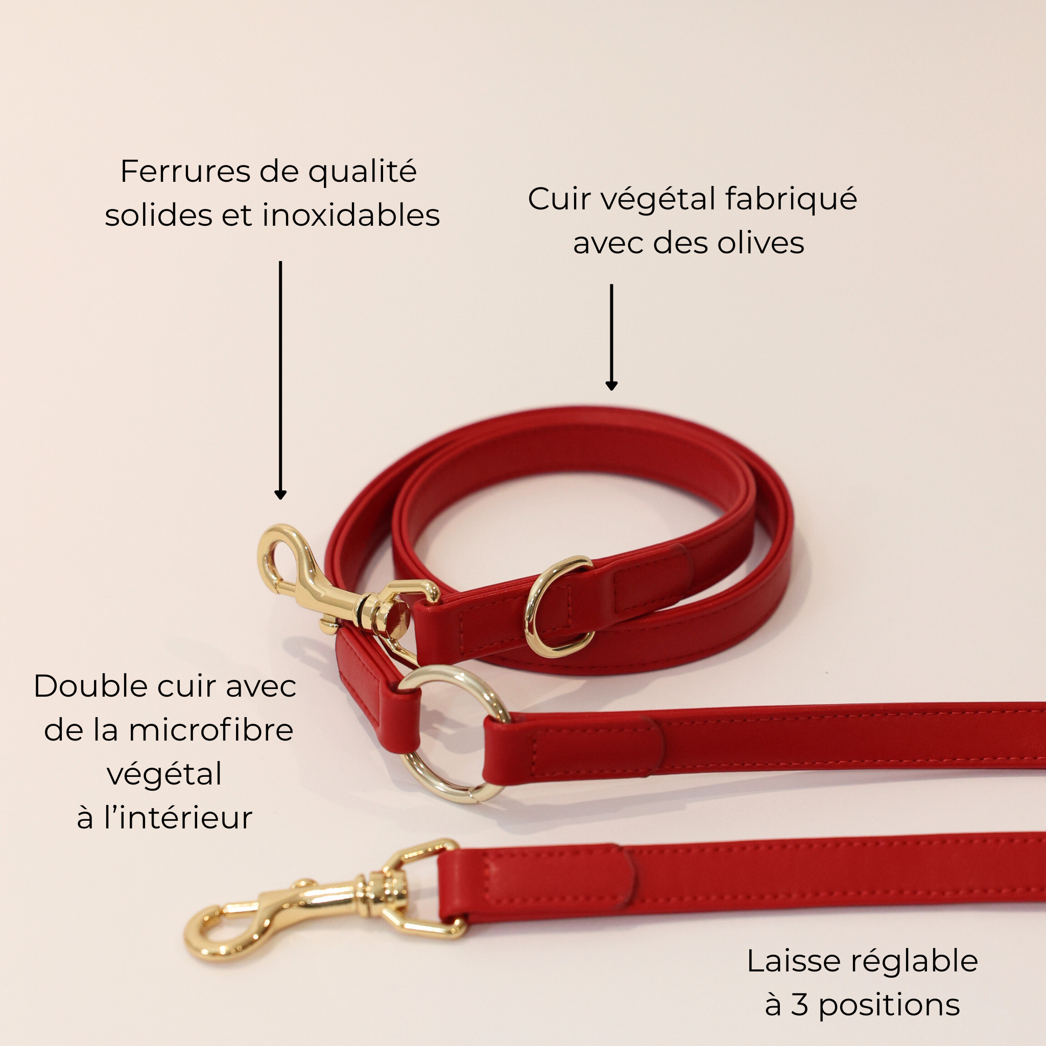 Laisse Multiposition en cuir végétal