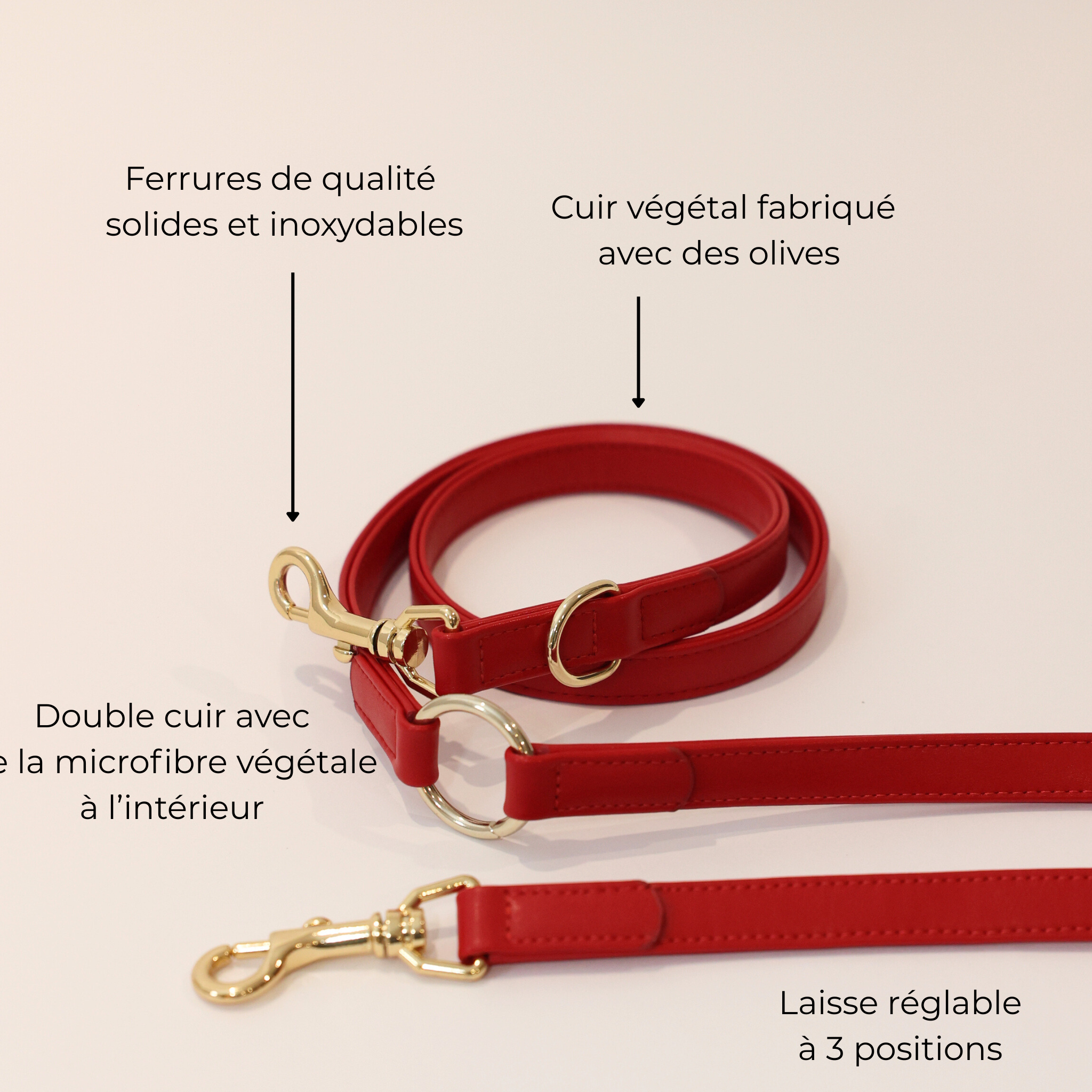 Laisse Multiposition en cuir végétal