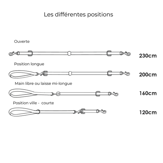 Laisse Multiposition en cuir végétal