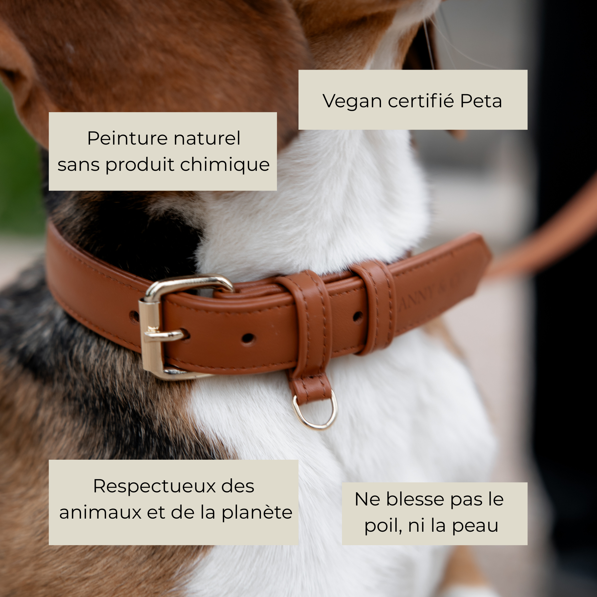 Collier en cuir végétal