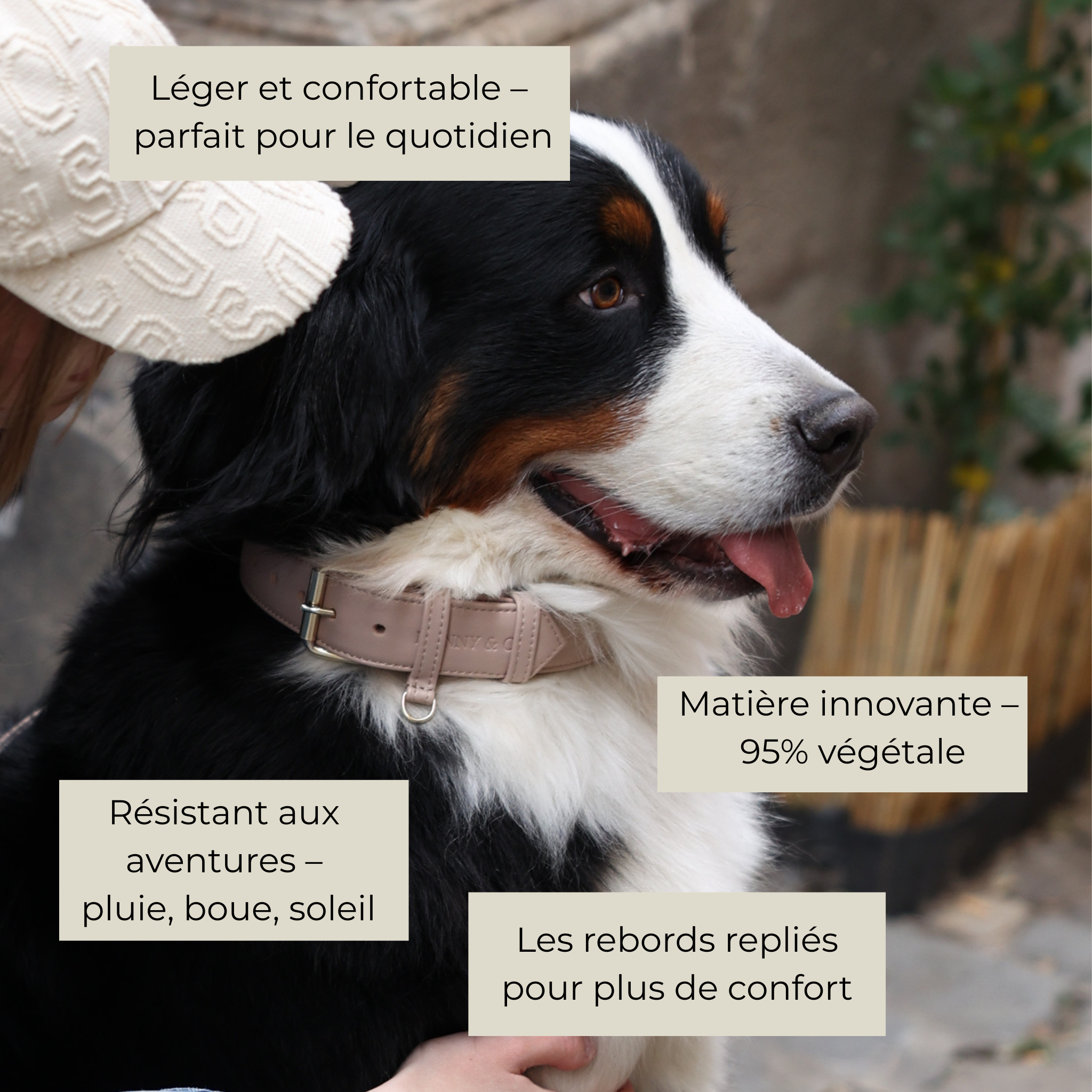 Collier en cuir végétal